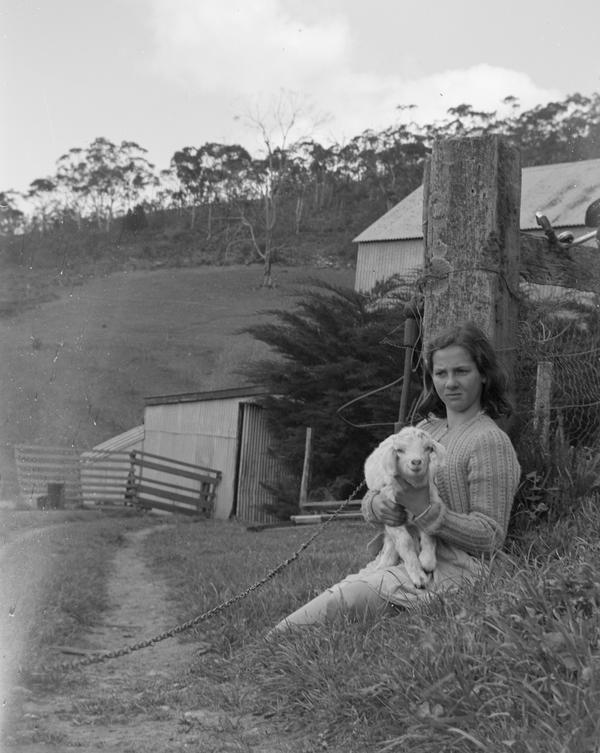 album Ortho X Quarter Plates